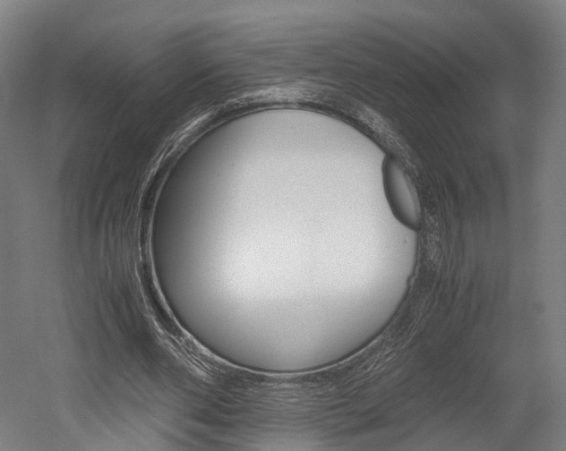 X0000052630486200507011037
