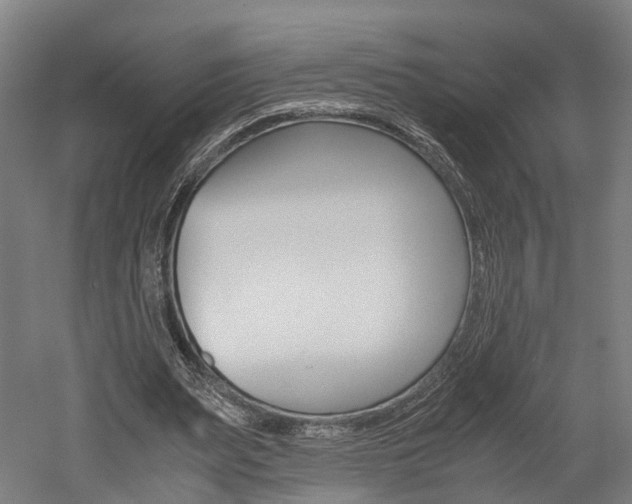 X0000052630487200507011037