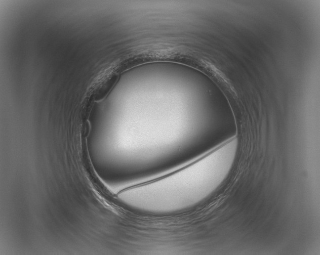 X0000052630493200507011037