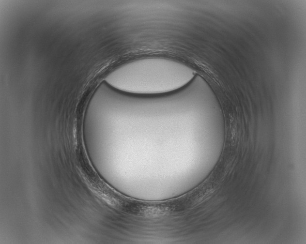 X0000052630494200507011037