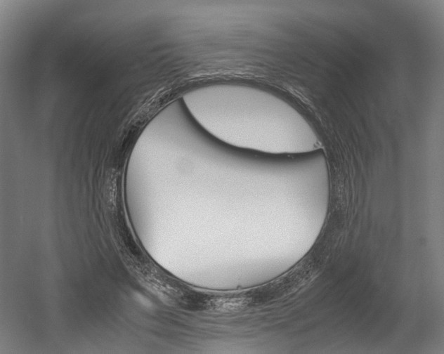 X0000052630495200507011037