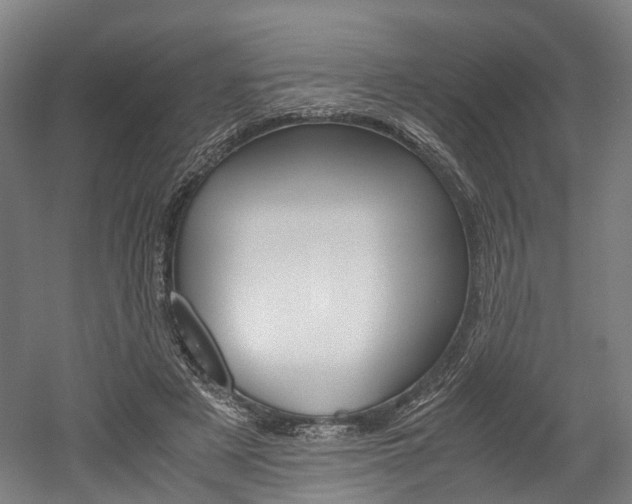 X0000052630497200507011037