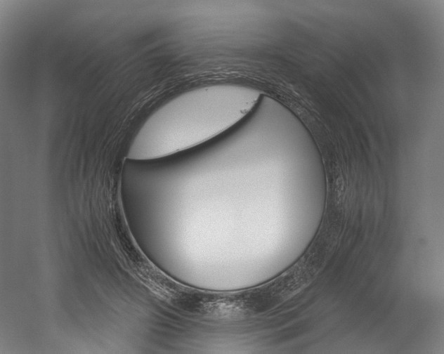 X0000052630498200507011037