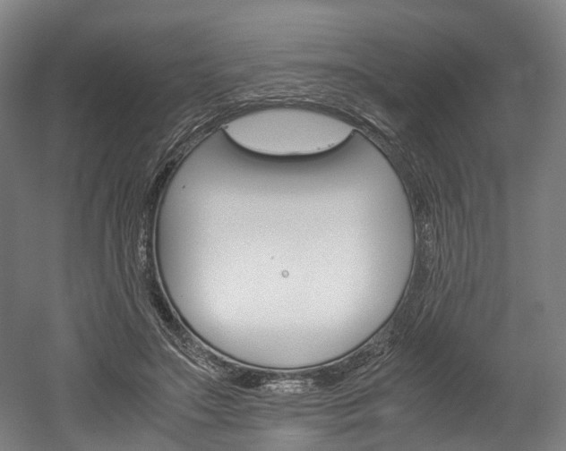 X0000052630499200507011037