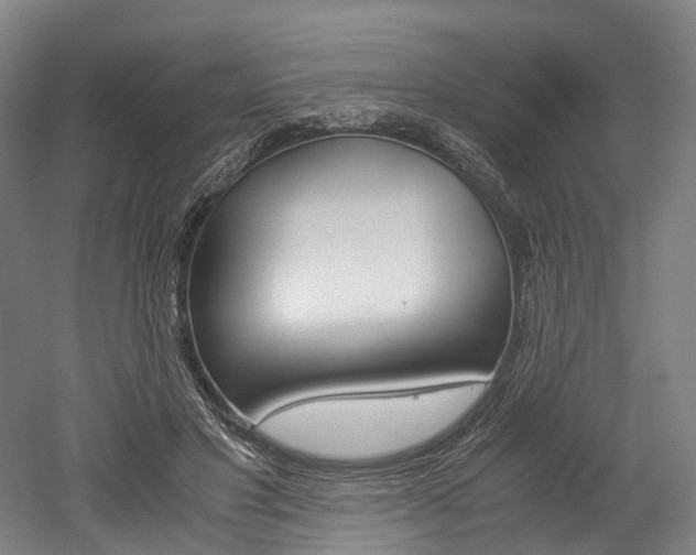 X0000052630501200507011037