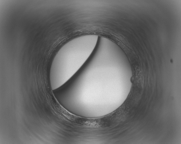 X0000052630502200507011037