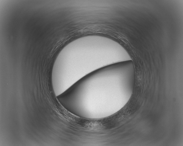 X0000052630503200507011037