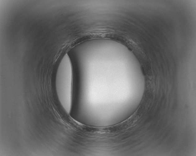 X0000052630504200507011037