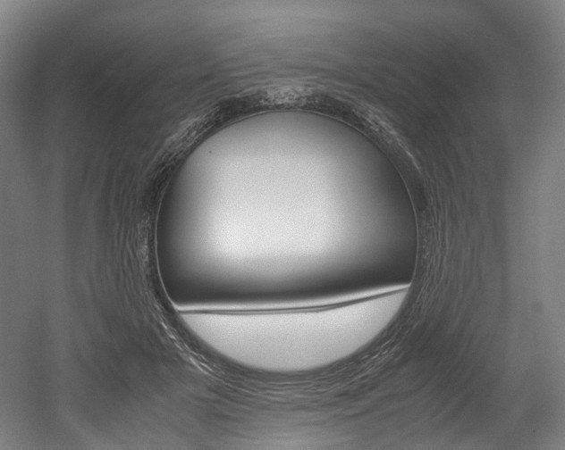 X0000052630505200507011037