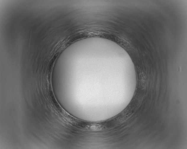 X0000052630506200507011037