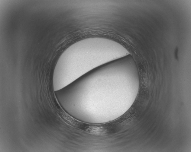 X0000052630507200507011037