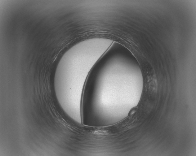 X0000052630508200507011037