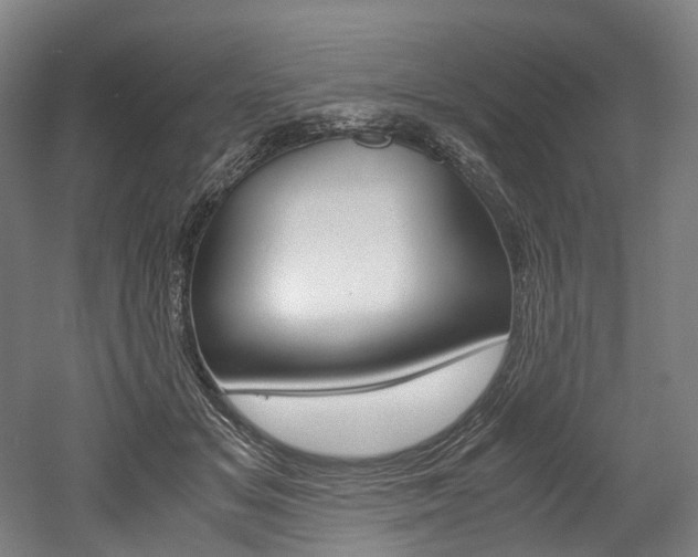 X0000052630509200507011037