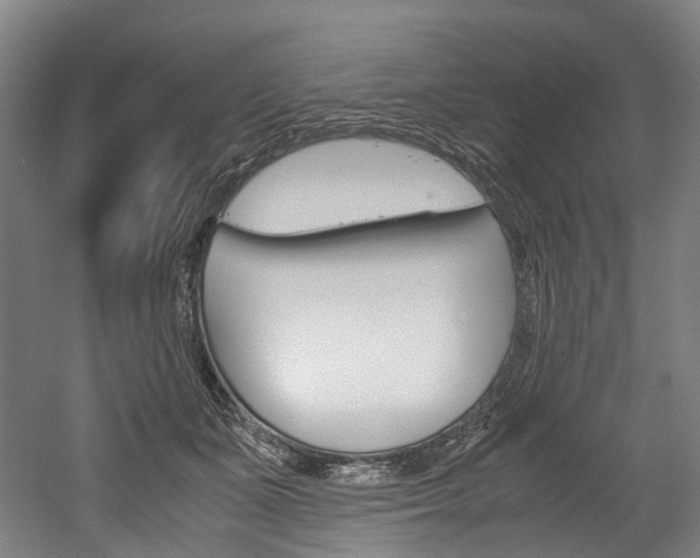 X0000052630511200507011037