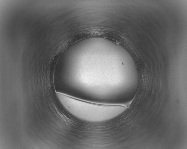 X0000052630512200507011037