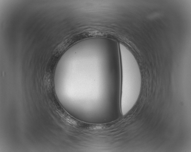 X0000052630513200507011037