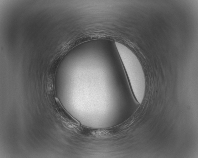 X0000052630517200507011037
