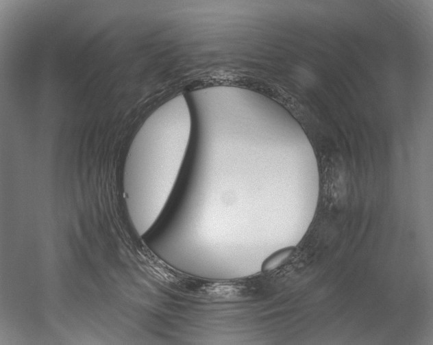 X0000052630518200507011037