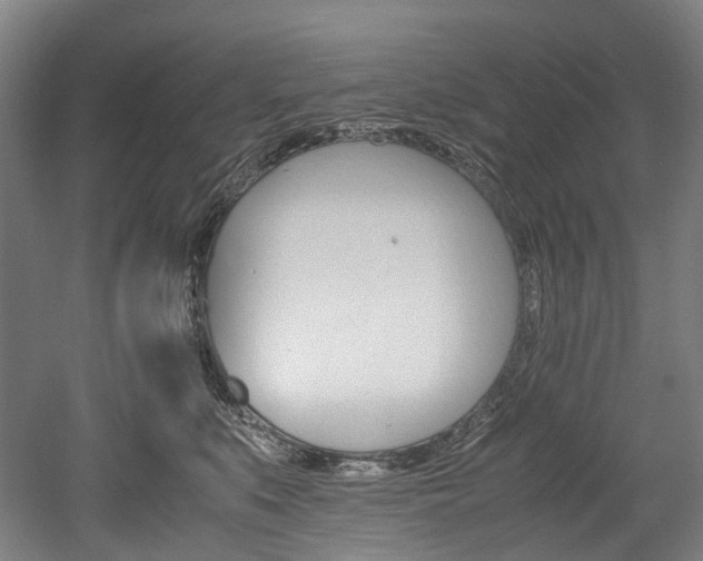 X0000052630519200507011037