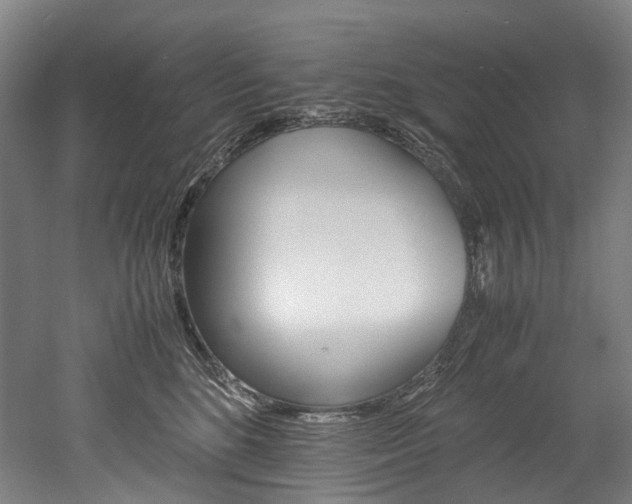 X0000052630520200507011037
