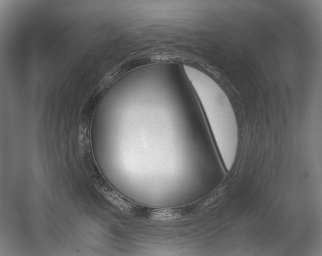 X0000052630521200507011037