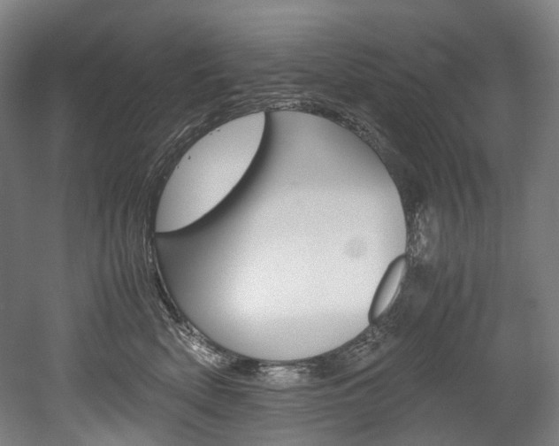 X0000052630522200507011037