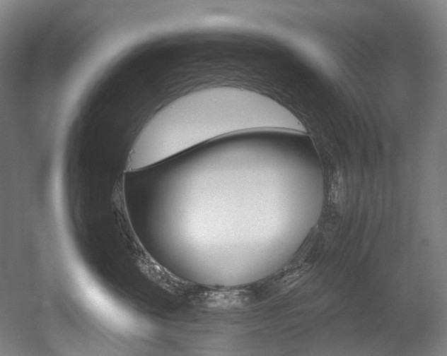 X0000052630524200507011037