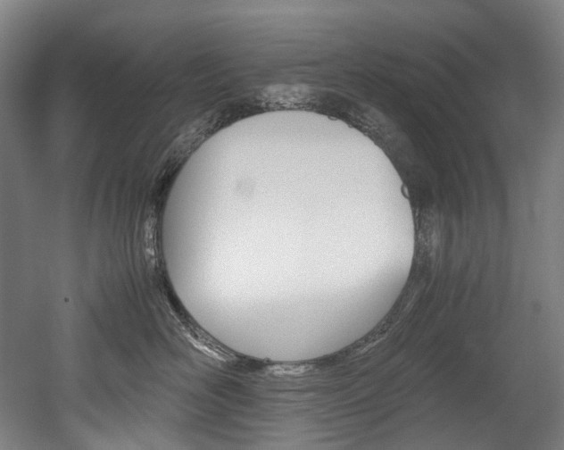 X0000052630526200507011037