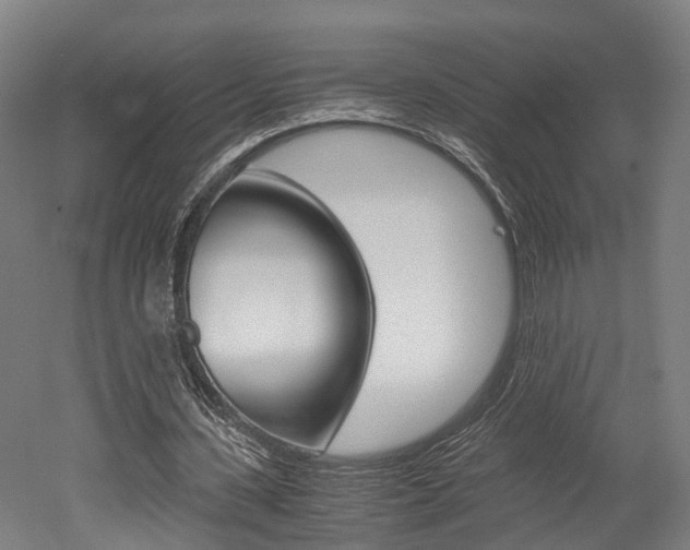X0000052630531200507011036