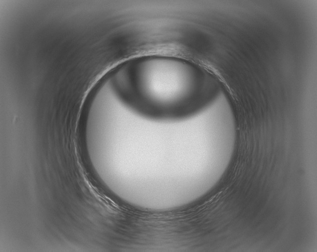 X0000052630532200507011036