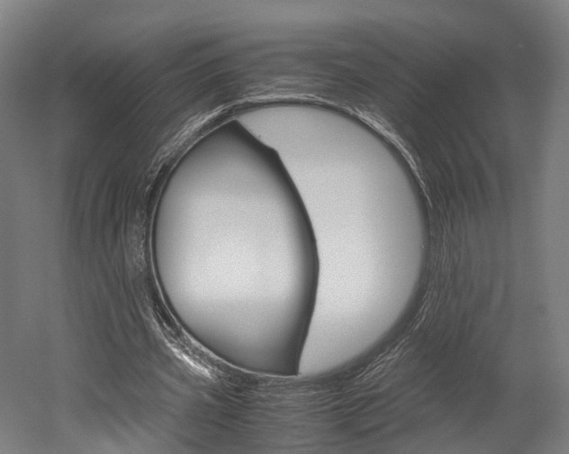 X0000052630533200507011036