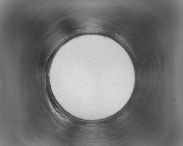 X0000052630534200507011036