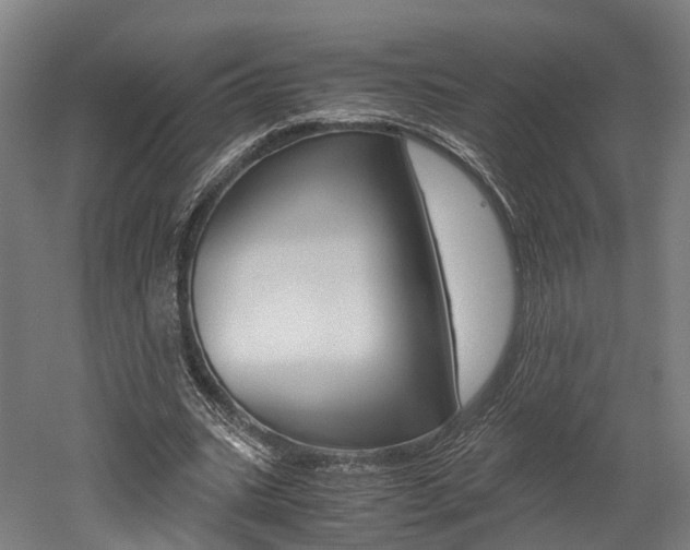 X0000052630535200507011036