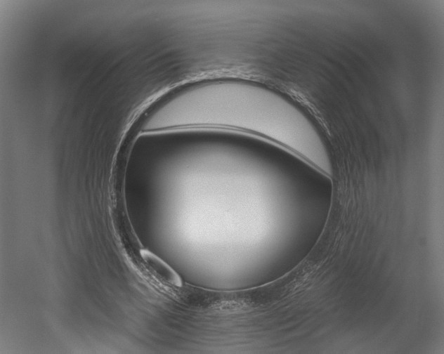 X0000052630536200507011036