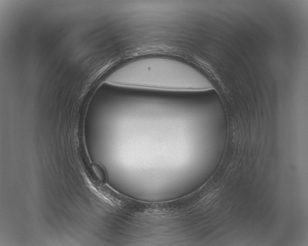 X0000052630538200507011036