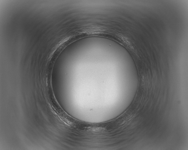 X0000052630539200507011036