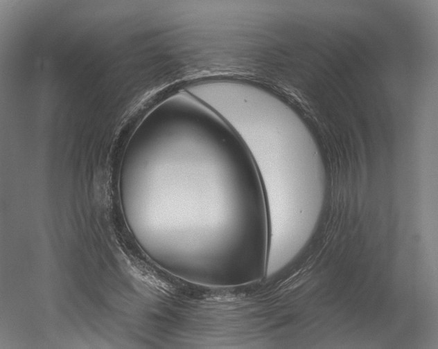 X0000052630540200507011036