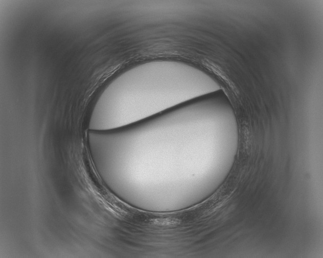 X0000052630541200507011036