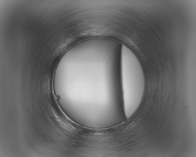 X0000052630542200507011036