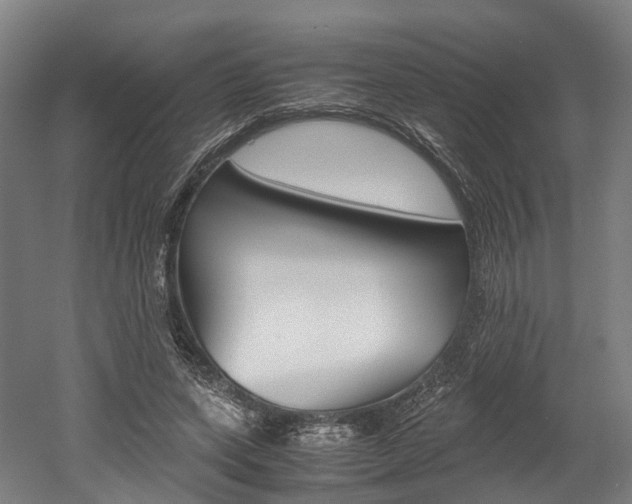 X0000052630543200507011036