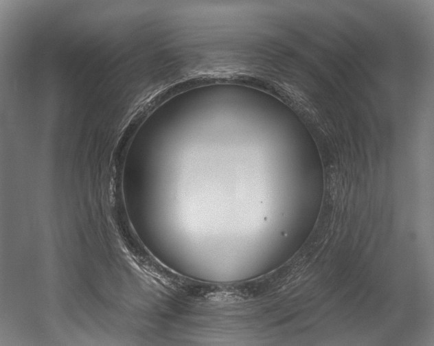 X0000052630544200507011036