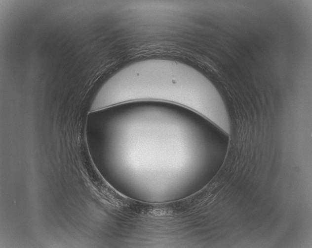 X0000052630546200507011036