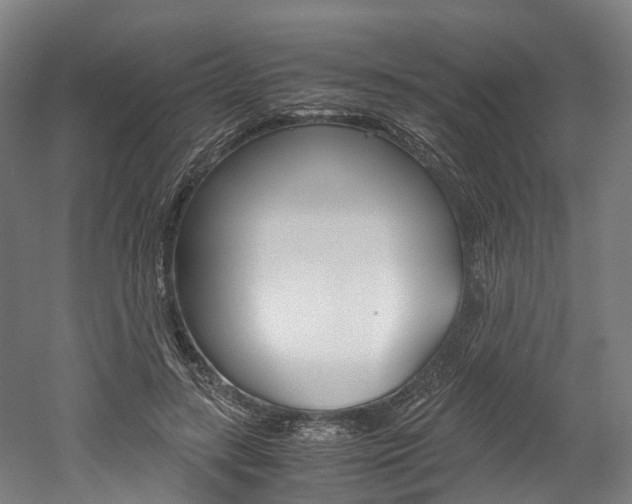 X0000052630547200507011036