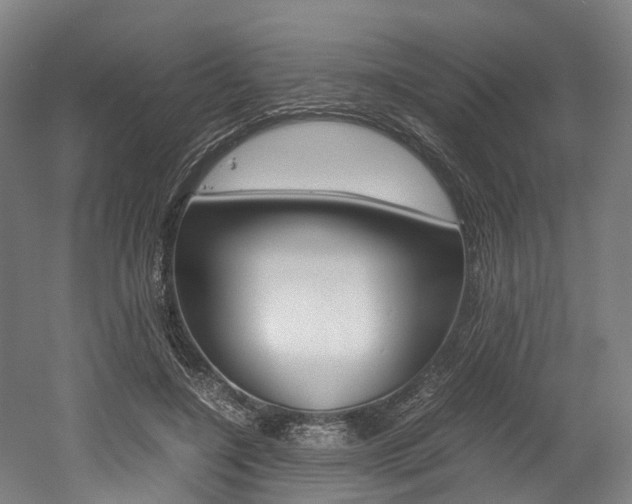 X0000052630548200507011036