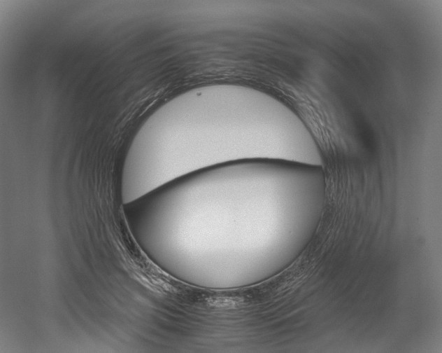 X0000052630549200507011036