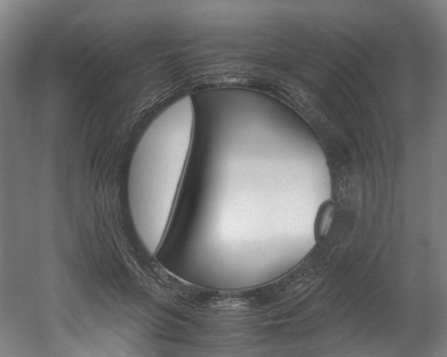 X0000052630551200507011036