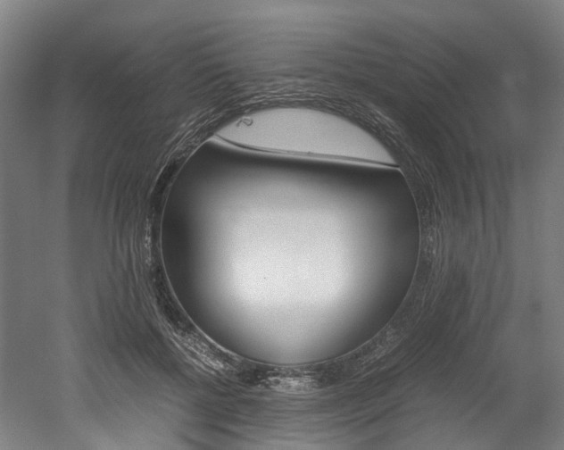 X0000052630552200507011036