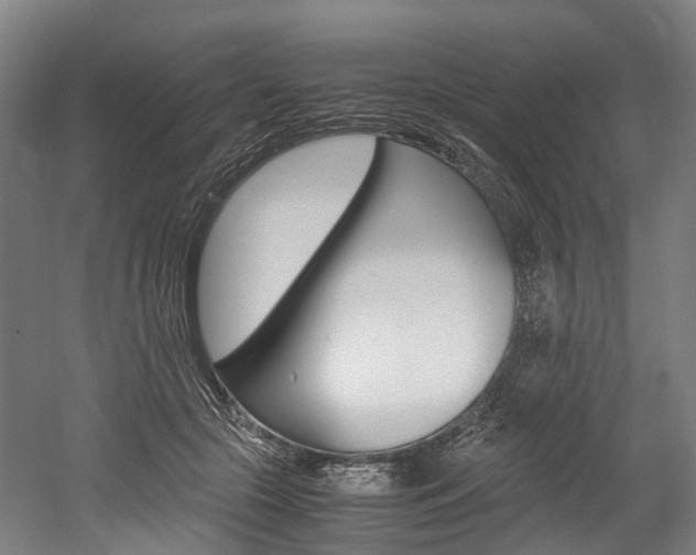 X0000052630553200507011036