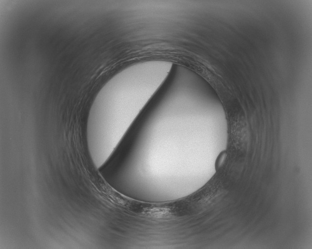X0000052630554200507011036