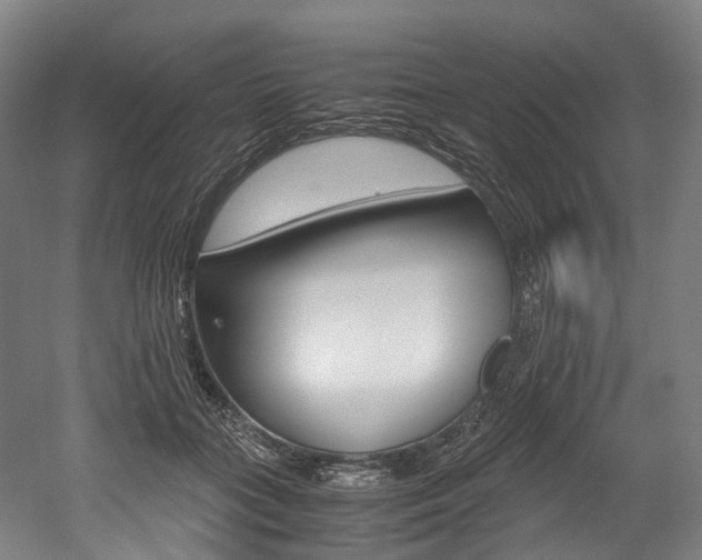 X0000052630555200507011036